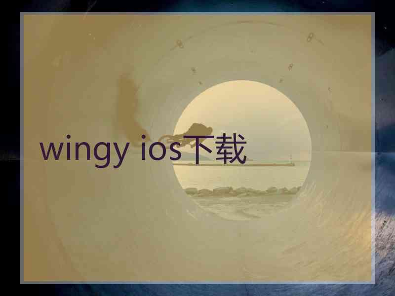 wingy ios下载