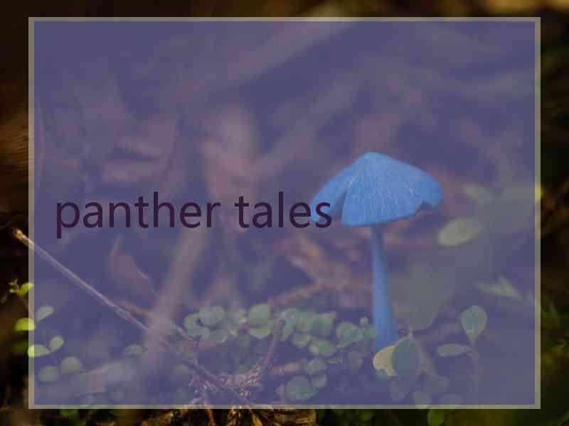 panther tales