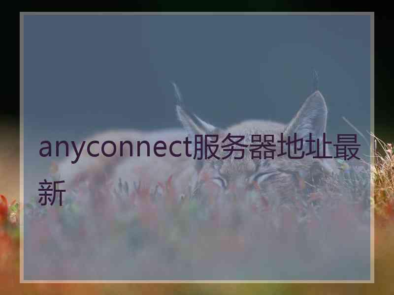 anyconnect服务器地址最新