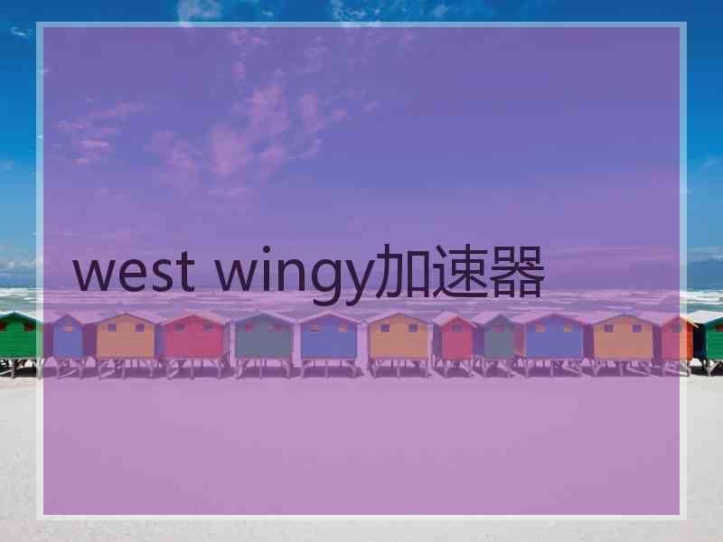 west wingy加速器