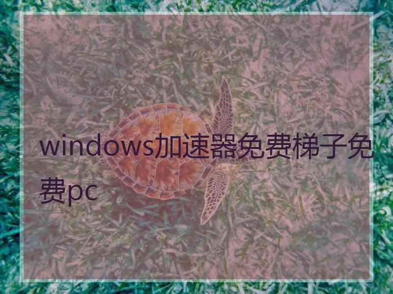 windows加速器免费梯子免费pc