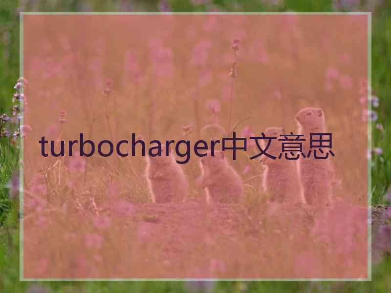 turbocharger中文意思