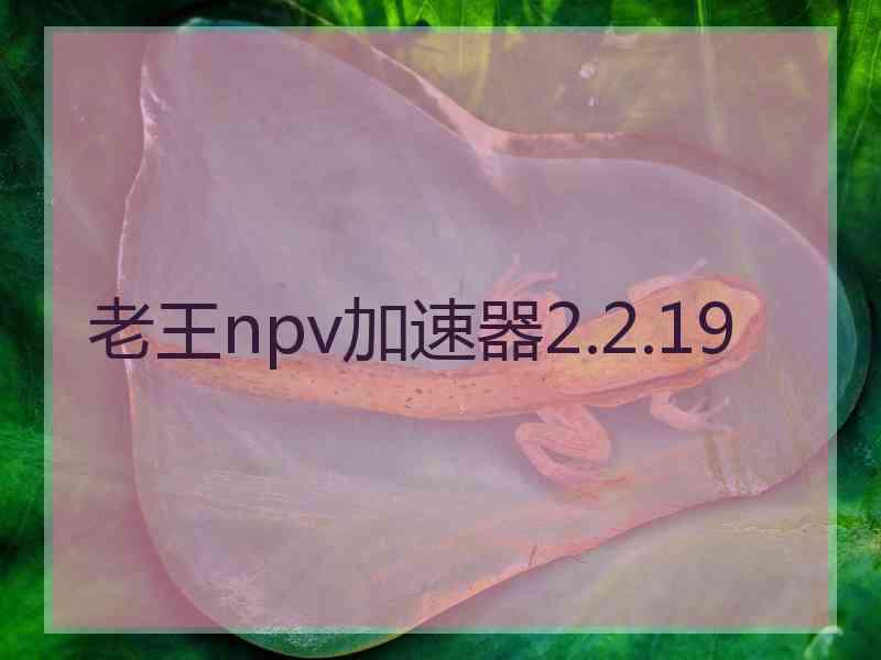 老王npv加速器2.2.19