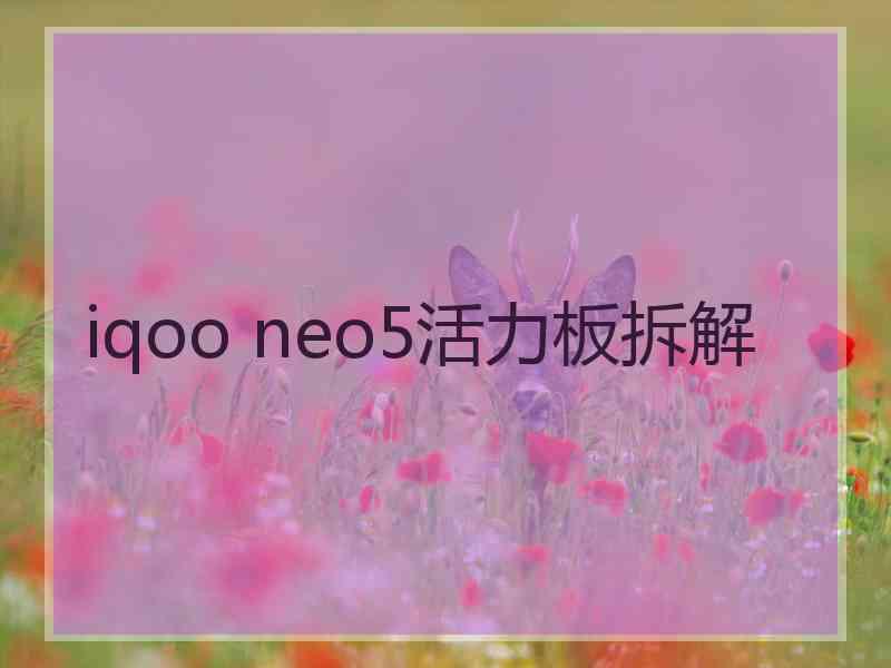 iqoo neo5活力板拆解