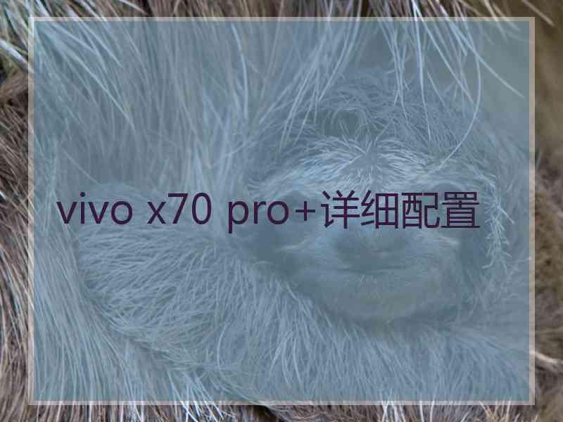 vivo x70 pro+详细配置