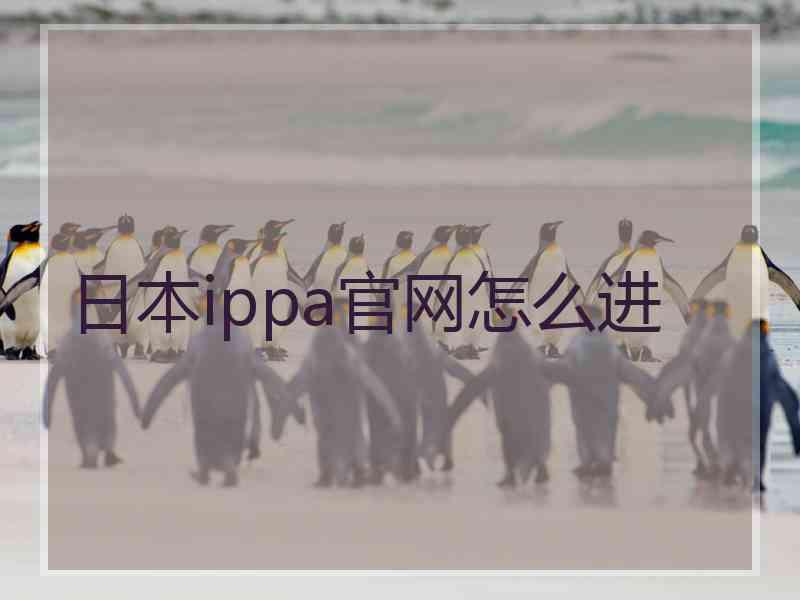 日本ippa官网怎么进