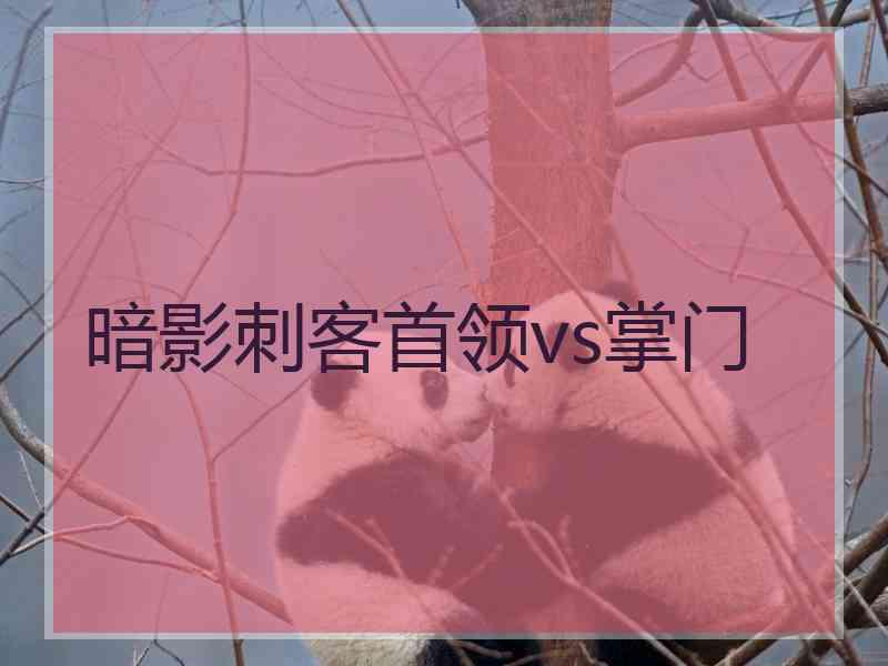 暗影刺客首领vs掌门