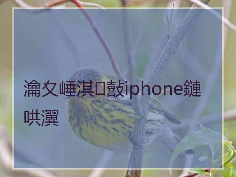 瀹夊崜淇敼iphone鏈哄瀷