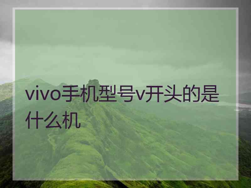 vivo手机型号v开头的是什么机