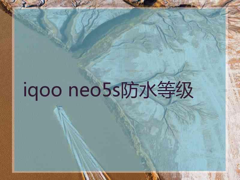 iqoo neo5s防水等级