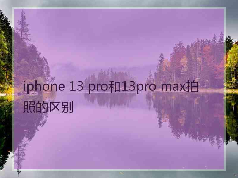 iphone 13 pro和13pro max拍照的区别