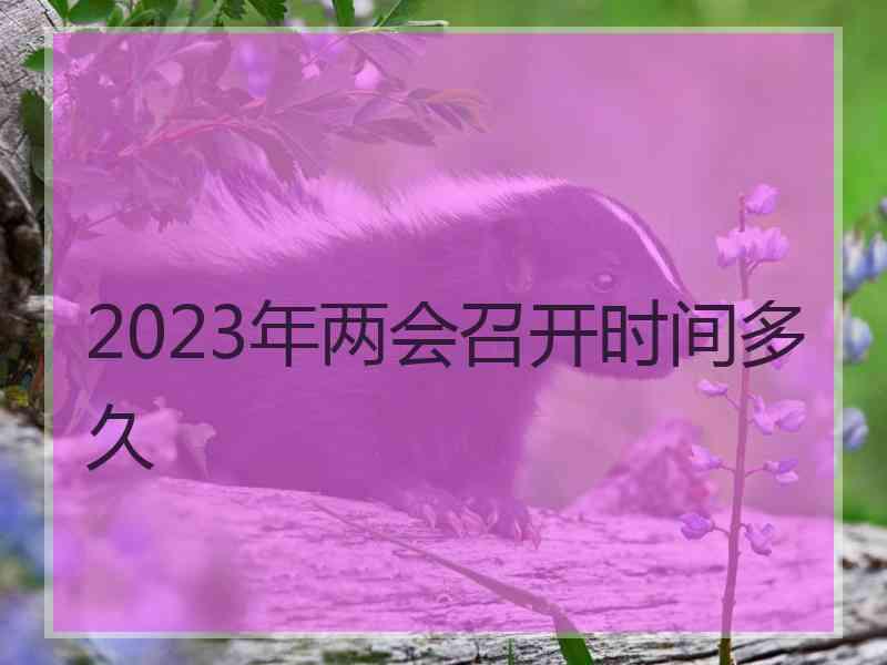 2023年两会召开时间多久