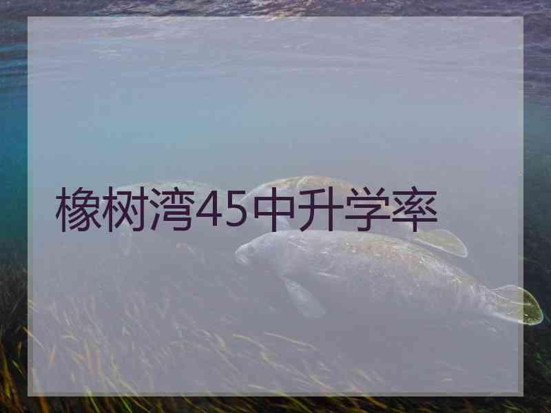 橡树湾45中升学率