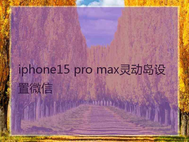 iphone15 pro max灵动岛设置微信