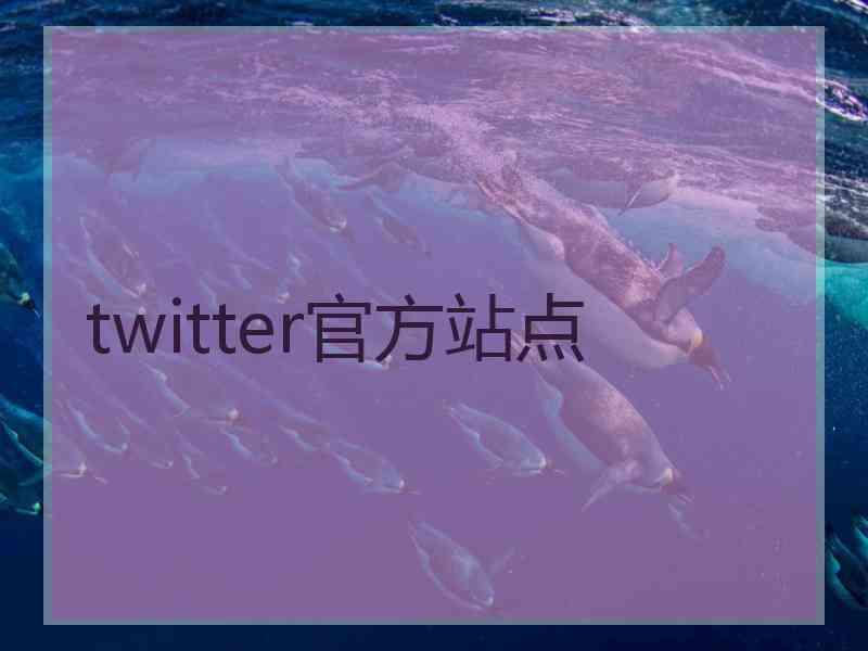 twitter官方站点