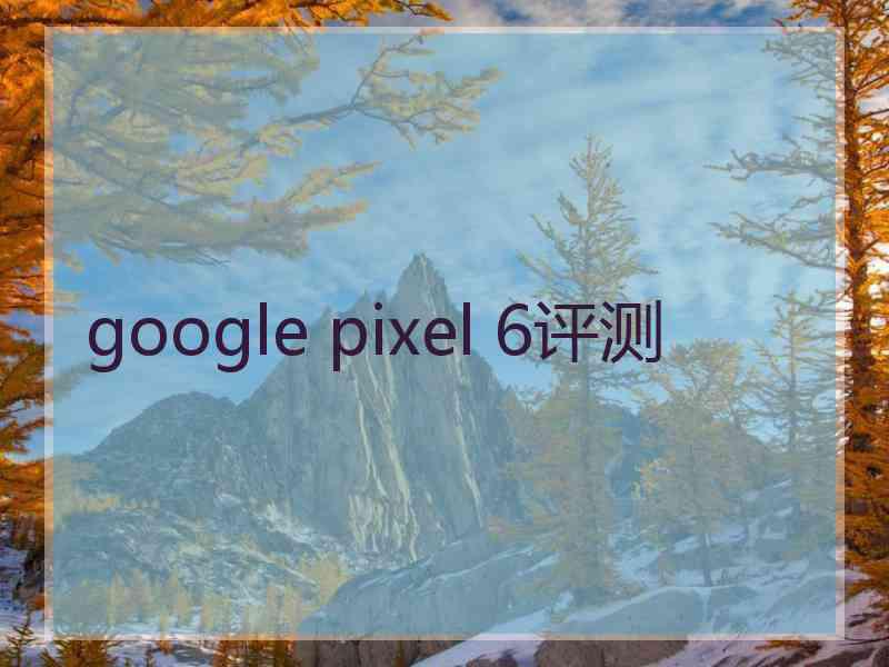 google pixel 6评测