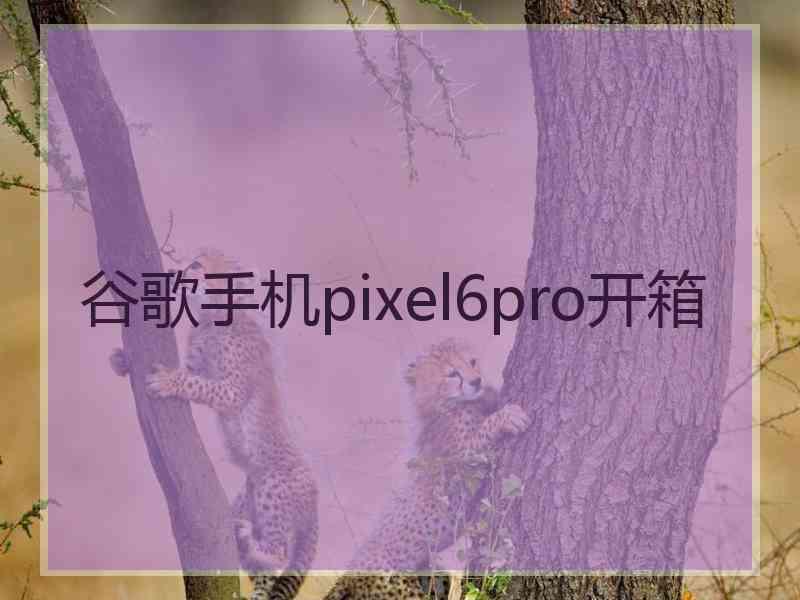 谷歌手机pixel6pro开箱