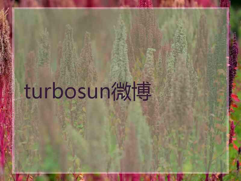 turbosun微博