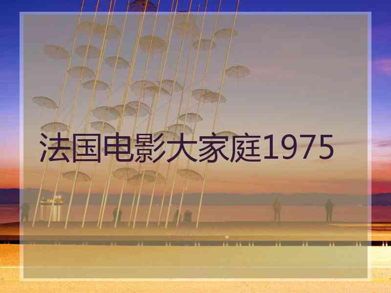 法国电影大家庭1975