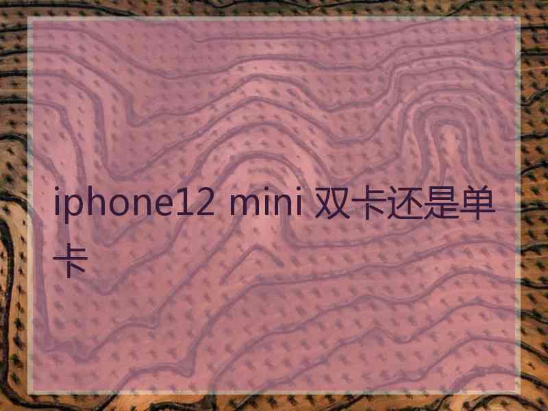 iphone12 mini 双卡还是单卡