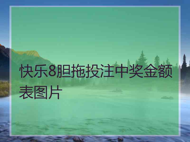 快乐8胆拖投注中奖金额表图片