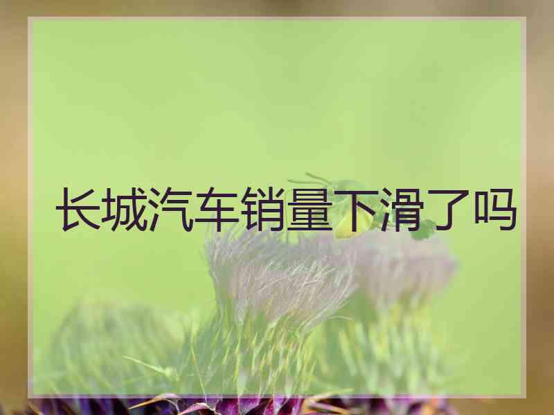 长城汽车销量下滑了吗