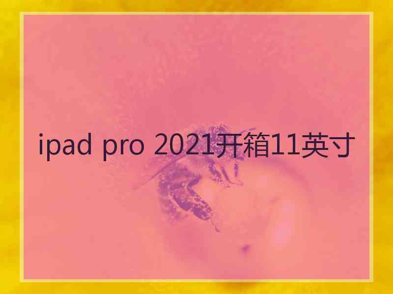 ipad pro 2021开箱11英寸