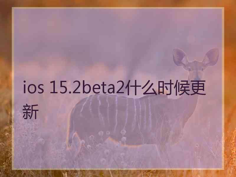 ios 15.2beta2什么时候更新