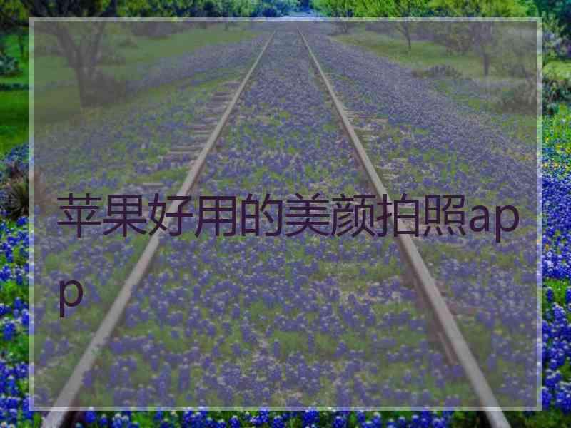 苹果好用的美颜拍照app