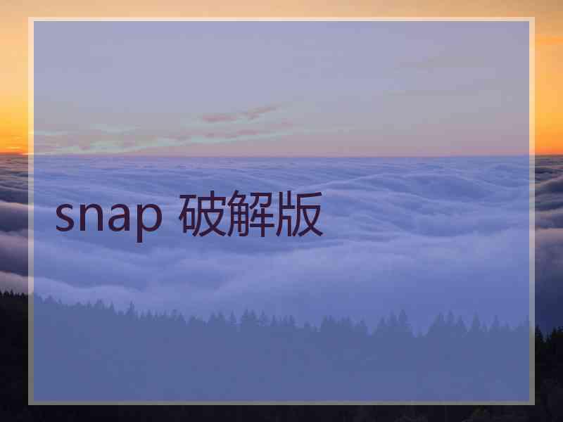 snap 破解版