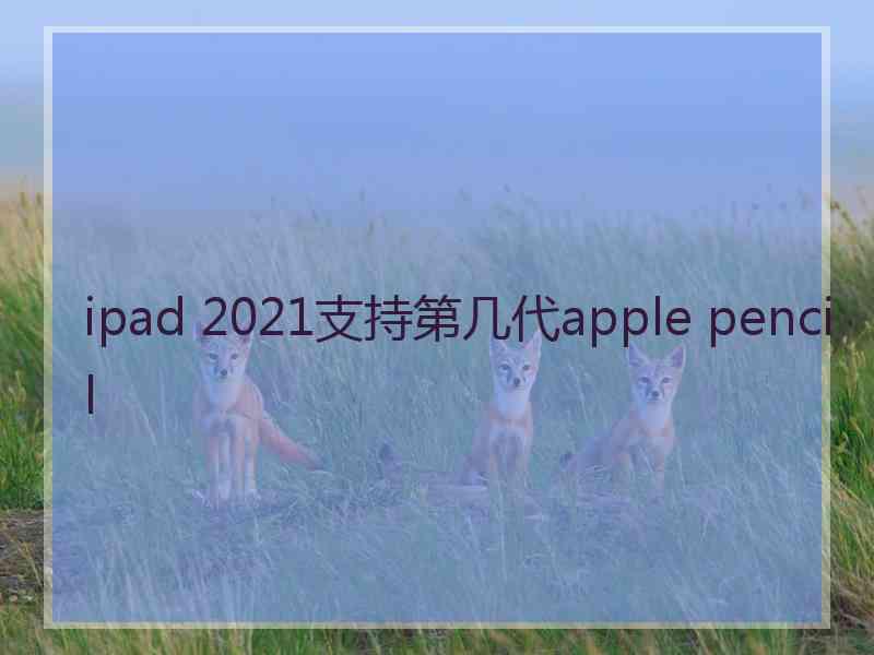 ipad 2021支持第几代apple pencil