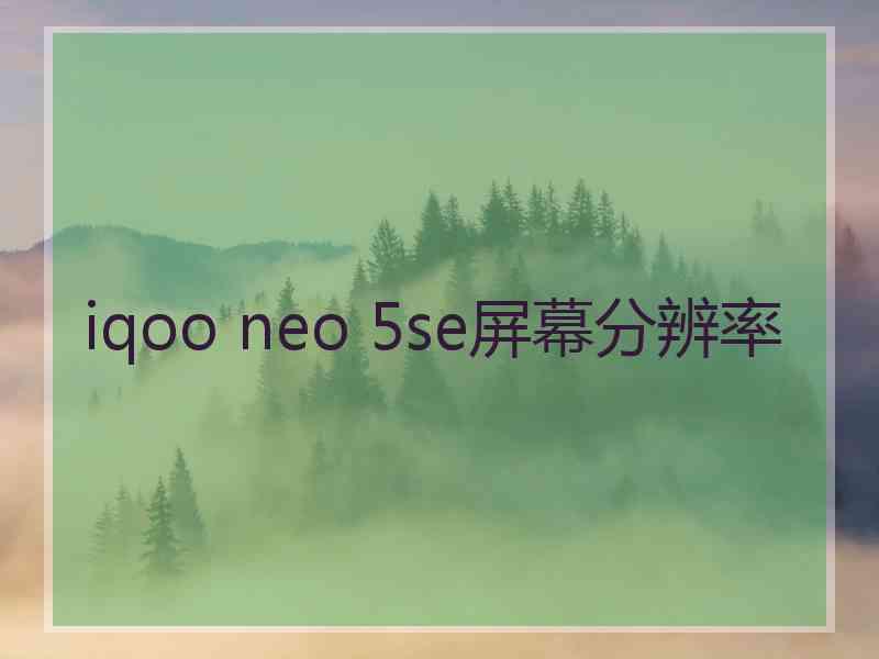 iqoo neo 5se屏幕分辨率