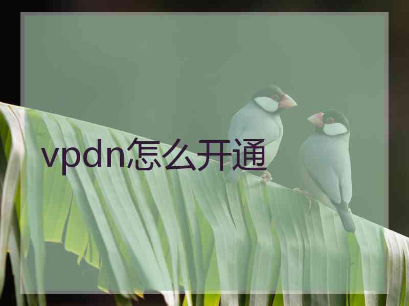 vpdn怎么开通