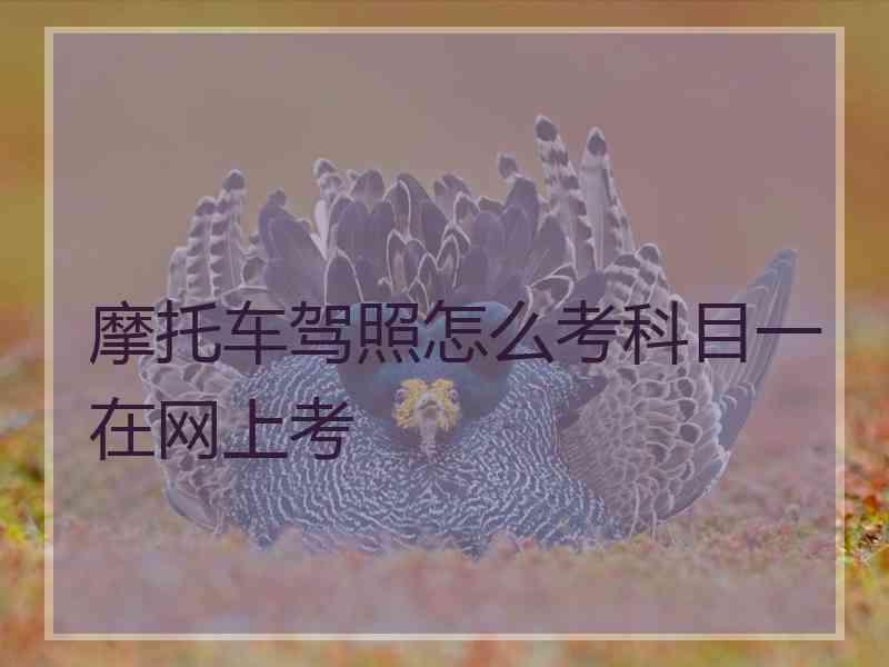 摩托车驾照怎么考科目一在网上考