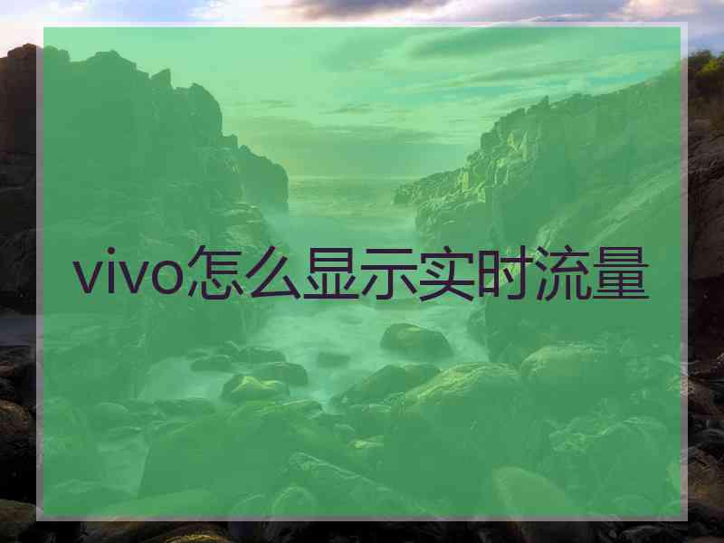 vivo怎么显示实时流量