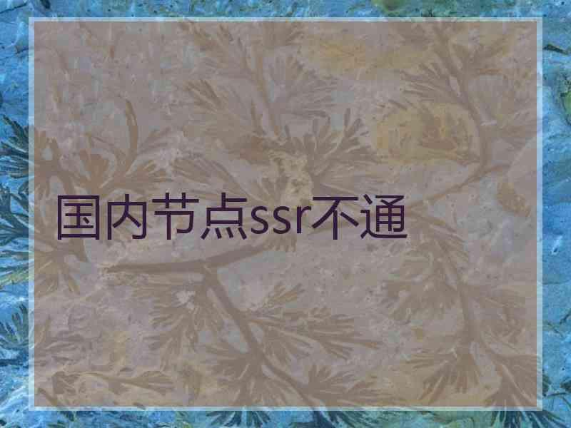 国内节点ssr不通