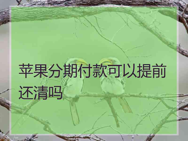 苹果分期付款可以提前还清吗