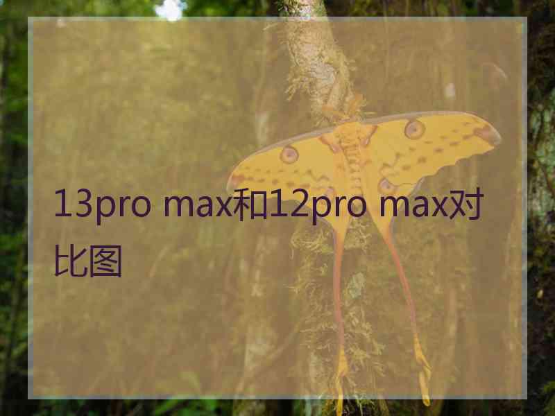 13pro max和12pro max对比图