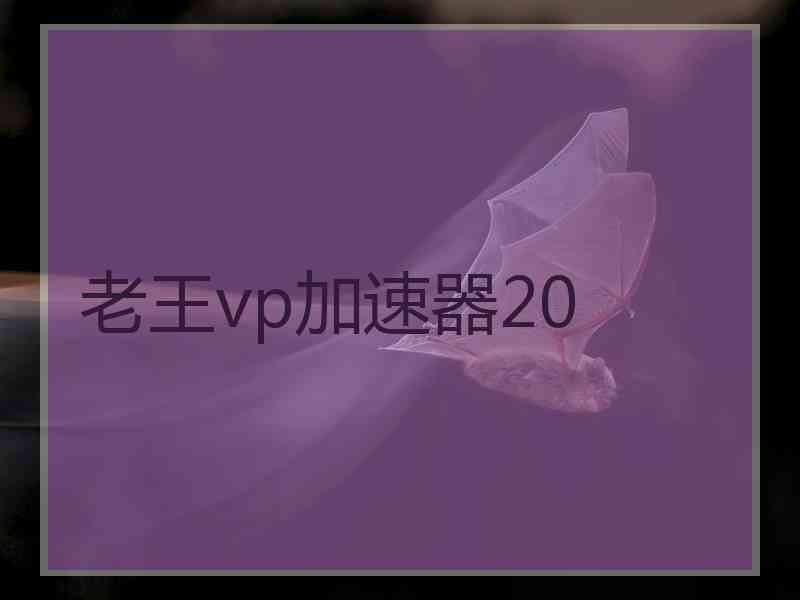 老王vp加速器20