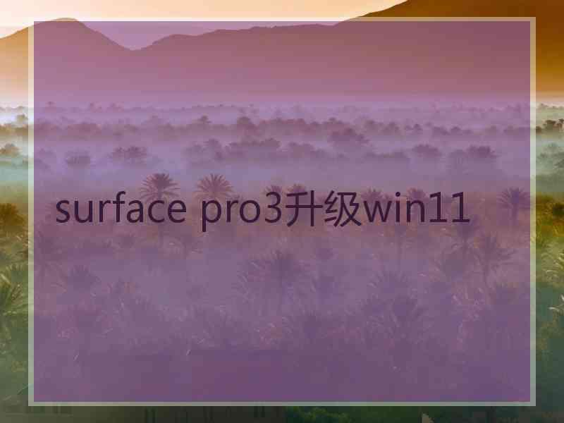 surface pro3升级win11