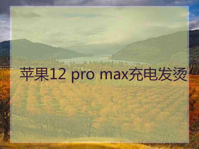 苹果12 pro max充电发烫