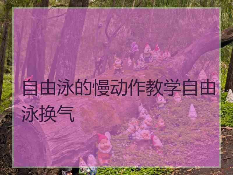 自由泳的慢动作教学自由泳换气