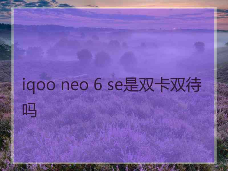 iqoo neo 6 se是双卡双待吗