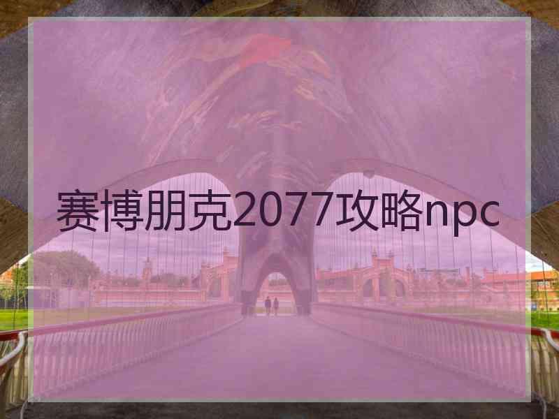 赛博朋克2077攻略npc