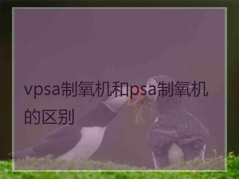 vpsa制氧机和psa制氧机的区别