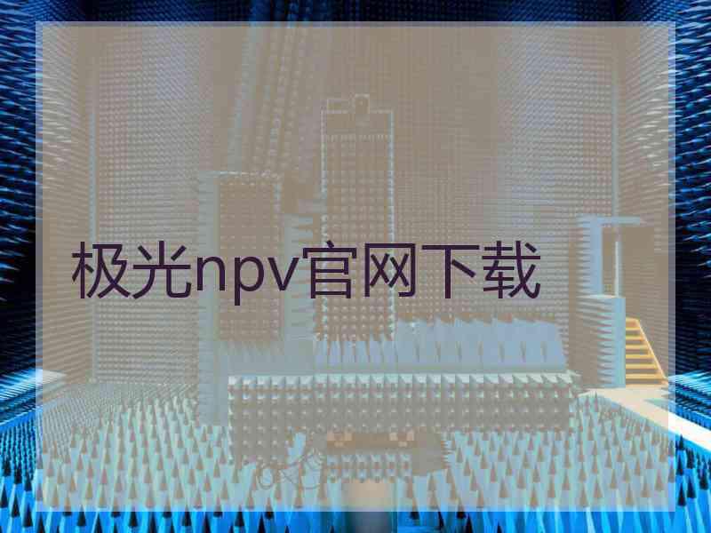 极光npv官网下载