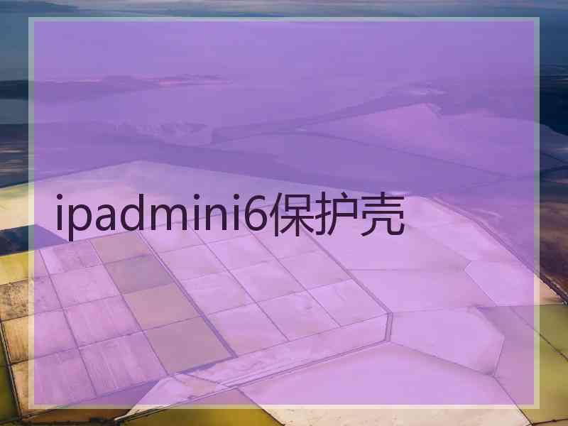 ipadmini6保护壳