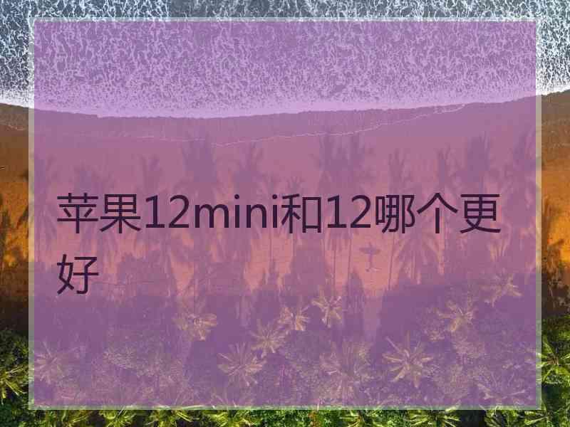 苹果12mini和12哪个更好