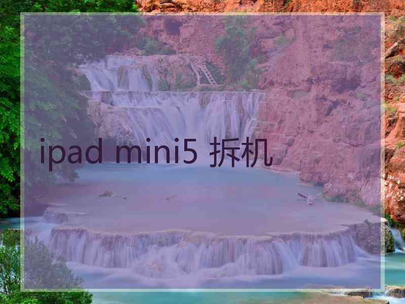 ipad mini5 拆机