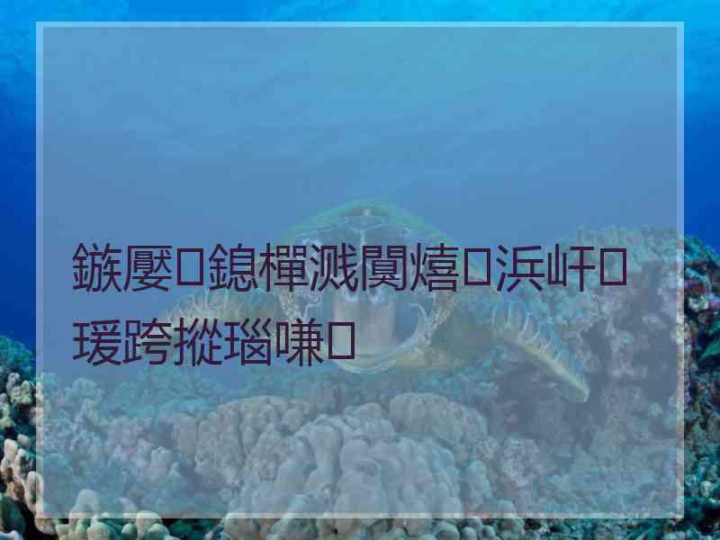 鏃嬮鎴樿溅闃熺浜屽瑗跨摐瑙嗛